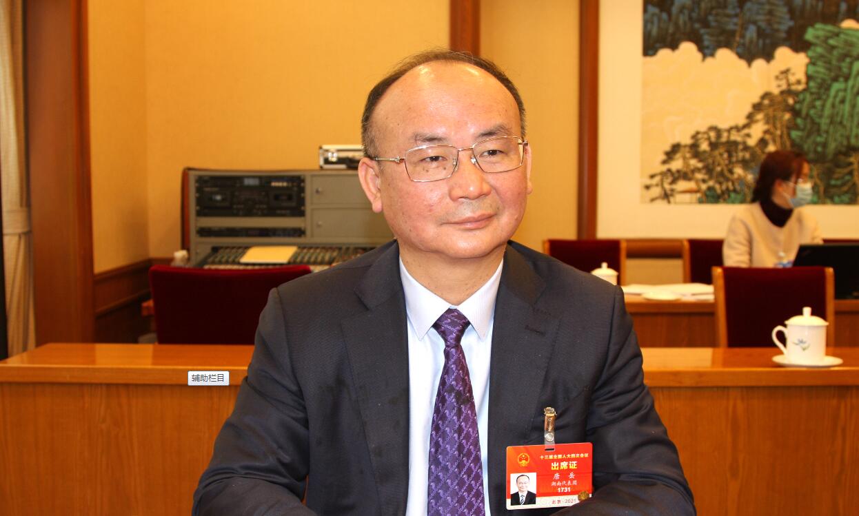 全國(guó)人大代表唐岳：科技創(chuàng)新是一項(xiàng)辛苦活、寂寞活，不能吃快餐、圖省事